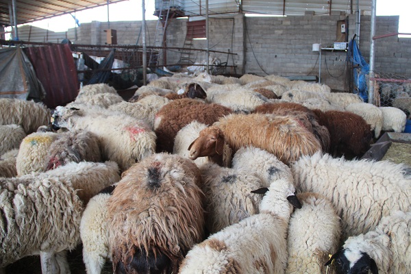Foto - Depremzede duyduğuna inanamadı! Devlet hepsini telafi etti