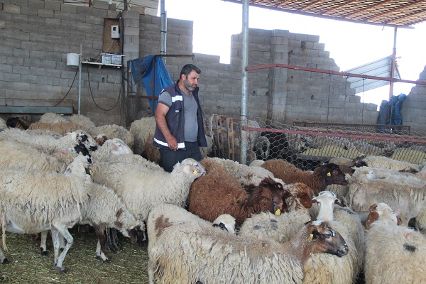 Foto - Depremzede duyduğuna inanamadı! Devlet hepsini telafi etti