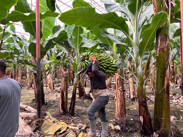 Depremzede vatandaşlardan büyük başarı