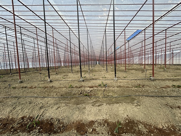 Foto - Depremzede vatandaşlardan büyük başarı