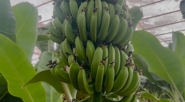 Foto - Depremzede vatandaşlardan büyük başarı