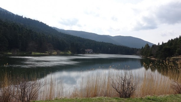 Foto - Depremzede vatandaşlarımız Gölcük Tabiat Parkı'na götürüldü