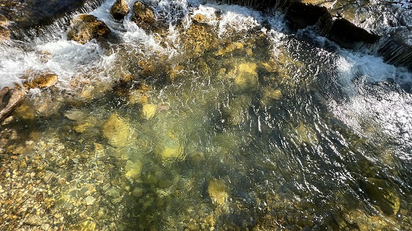 Foto - Depremzedeler burada stres atıyor! Burada suyun dibi bulunamıyor