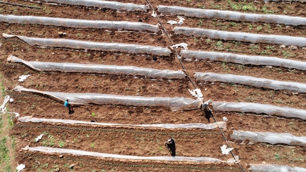 Depremzedeler ve oruçlular! Üretimi sürdürüyorlar