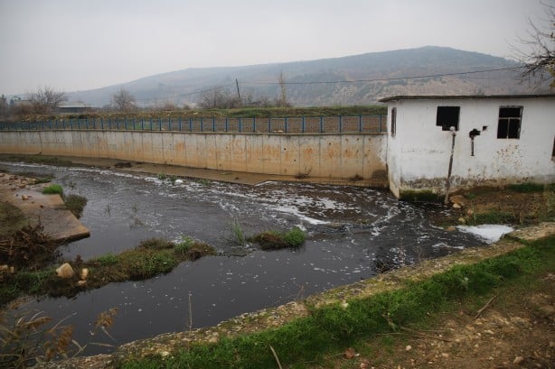 Deredeki toplu balık ölümleri vatandaşı tedirgin ediyor!