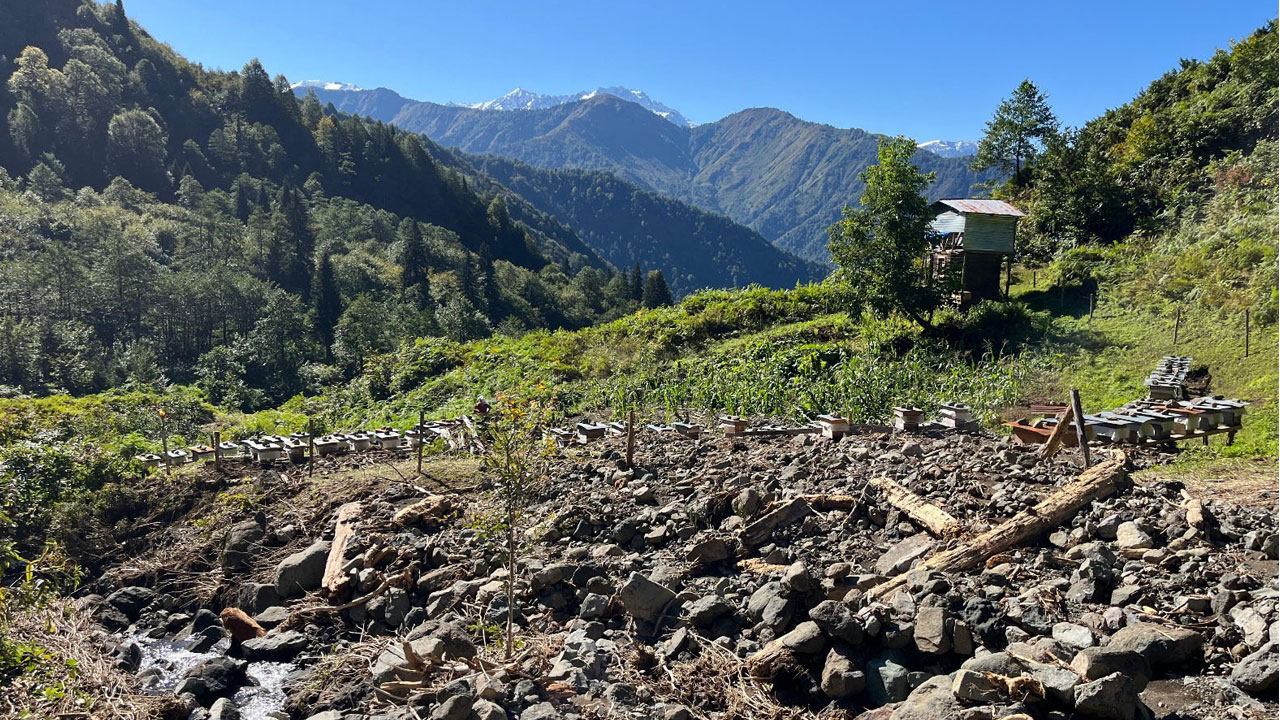 Foto - Derenin yönü değişti! Artvin’de sel arıcıları da vurdu