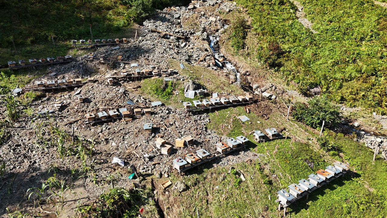 Foto - Derenin yönü değişti! Artvin’de sel arıcıları da vurdu