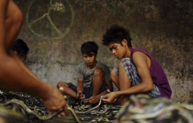 Foto - Deri ürünler işte böyle üretiliyor