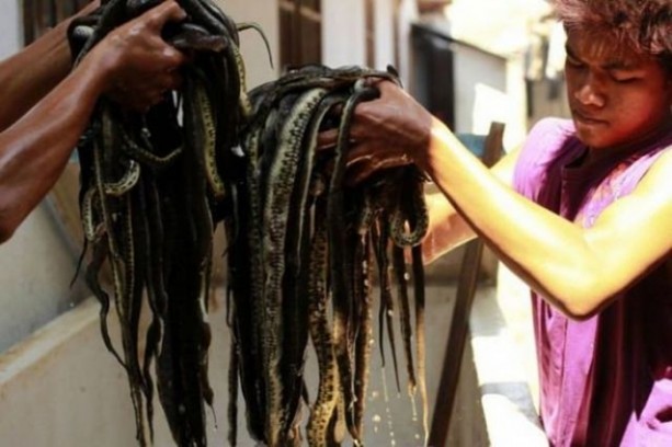 Foto - Deri ürünler işte böyle üretiliyor