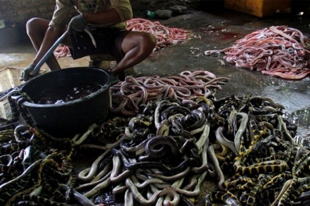 Foto - Deri ürünler işte böyle üretiliyor