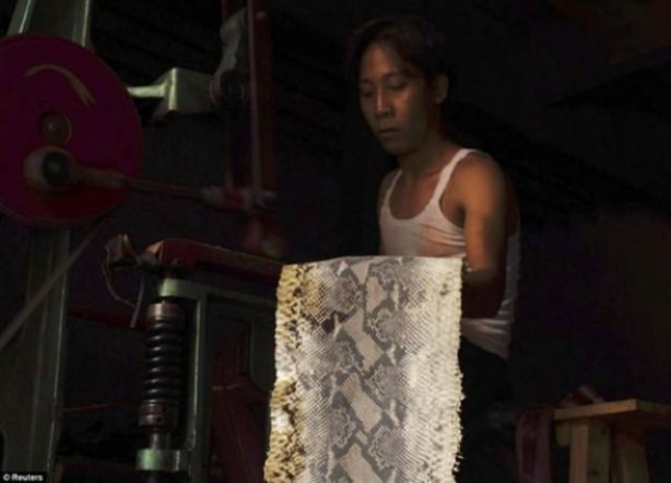 Foto - Deri ürünler işte böyle üretiliyor