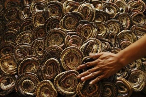 Foto - Deri ürünler işte böyle üretiliyor