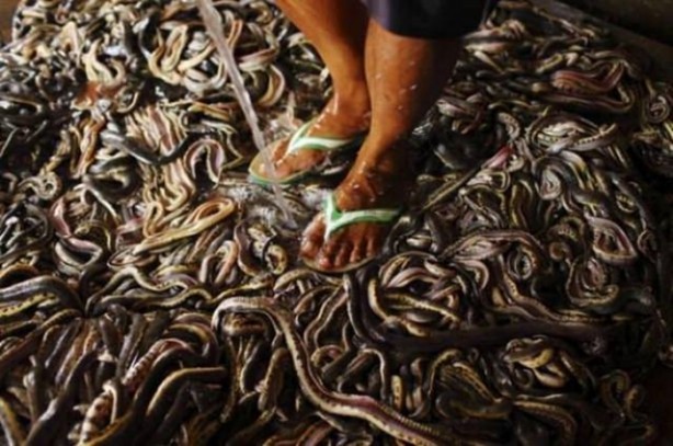  Deri ürünler işte böyle üretiliyor