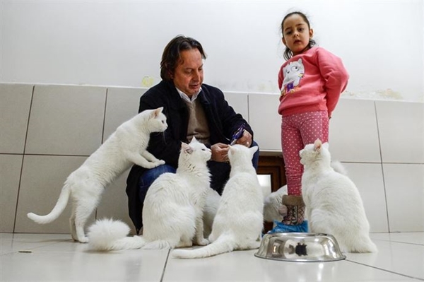 Foto - Derilerinin altına çip yerleştirilecek