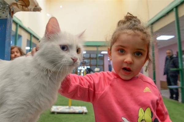 Foto - Derilerinin altına çip yerleştirilecek