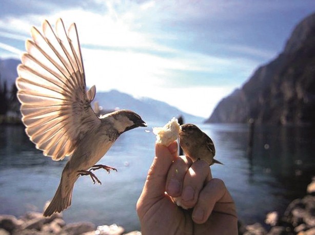 Foto - Derin anlamları var... İşte çok az bilinen 24 Türk atasözü