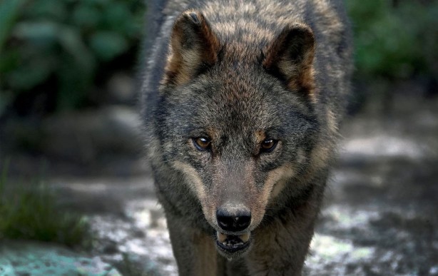 Foto - Derin anlamları var... İşte çok az bilinen 24 Türk atasözü