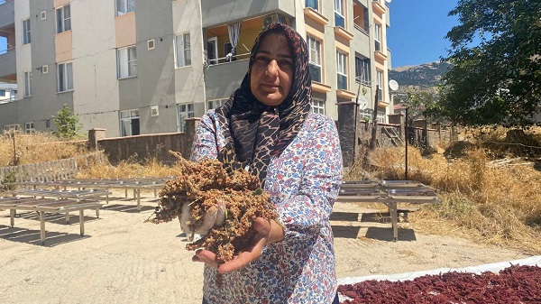 Foto - Desteği aldı kendi işini kurdu