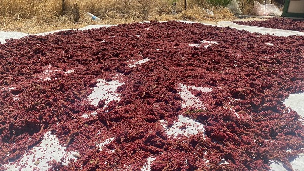 Foto - Desteği aldı kendi işini kurdu