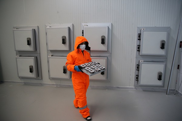 Foto - Destek aldı ihracat yapmaya hazırlanıyor