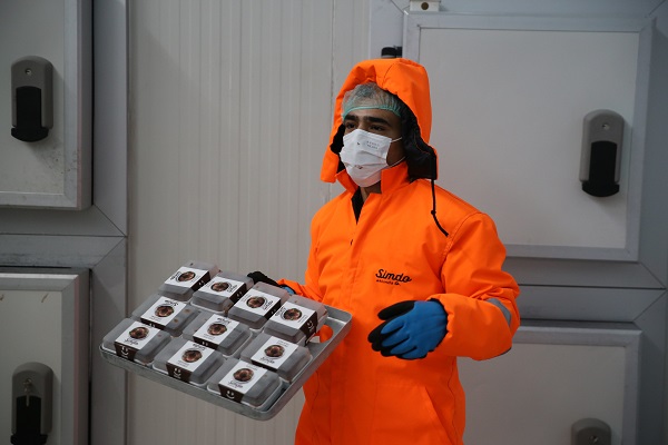 Foto - Destek aldı ihracat yapmaya hazırlanıyor