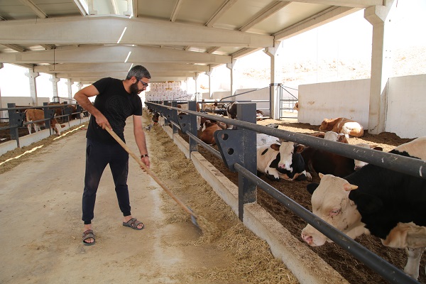 Destek aldı tesis kurdu! Hayalleri için yurt dışından Şanlıurfa'ya döndü