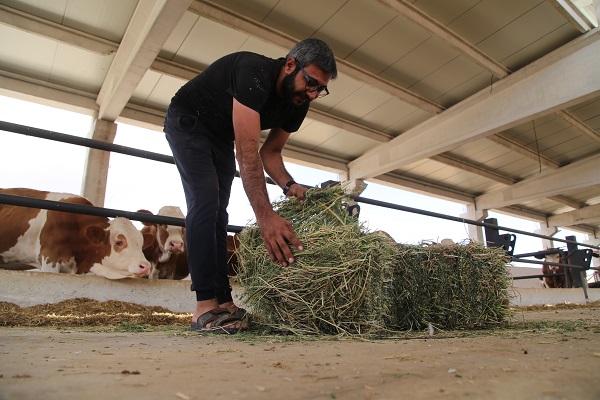 Foto - Destek aldı tesis kurdu! Hayalleri için yurt dışından Şanlıurfa'ya döndü
