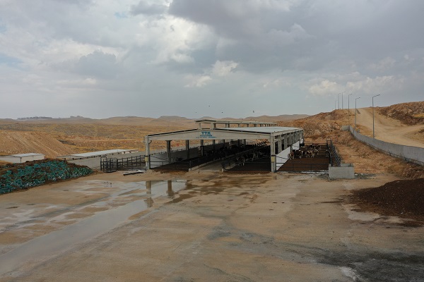 Foto - Destek aldı tesis kurdu! Hayalleri için yurt dışından Şanlıurfa'ya döndü