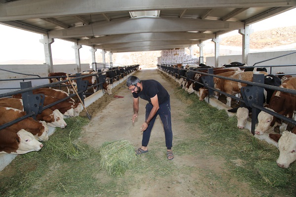 Foto - Destek aldı tesis kurdu! Hayalleri için yurt dışından Şanlıurfa'ya döndü