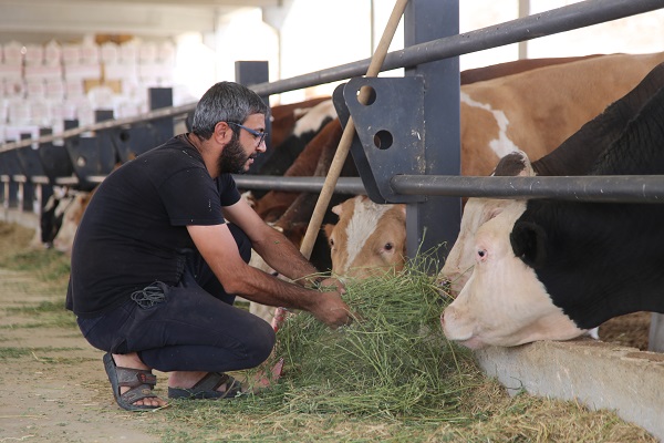 Foto - Destek aldı tesis kurdu! Hayalleri için yurt dışından Şanlıurfa'ya döndü
