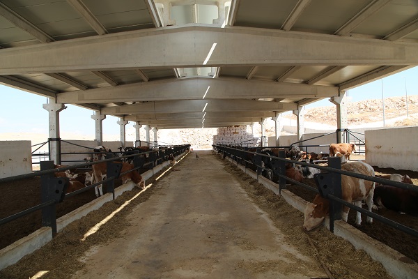 Foto - Destek aldı tesis kurdu! Hayalleri için yurt dışından Şanlıurfa'ya döndü