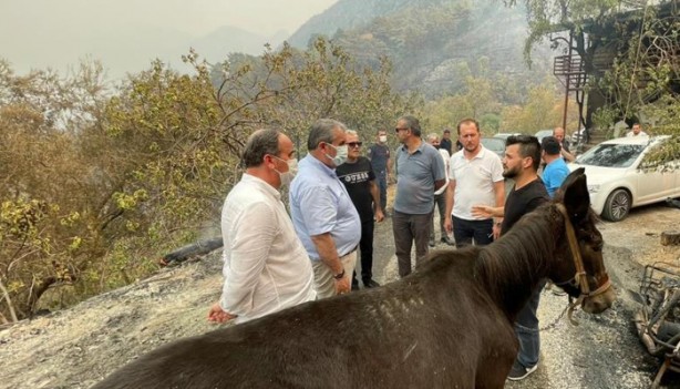 Foto - Destici'den yangınların çıkış sebebine dair açıklama: Hiçbir şüphemiz yok...