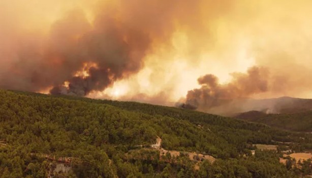 Destici'den yangınların çıkış sebebine dair açıklama: Hiçbir şüphemiz yok...