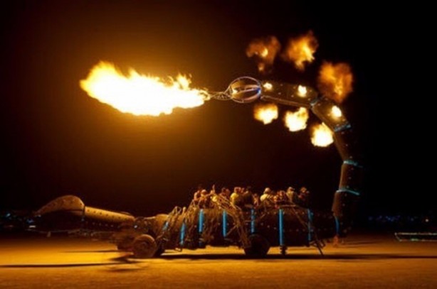 Foto - Dev akrep görenleri hayrete düşürdü!