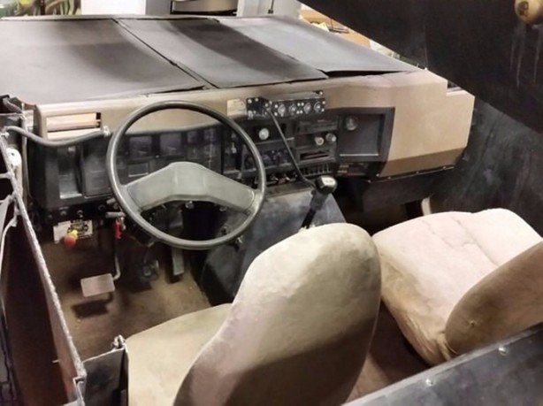 Foto - Dev akrep görenleri hayrete düşürdü!