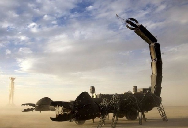  Dev akrep görenleri hayrete düşürdü!