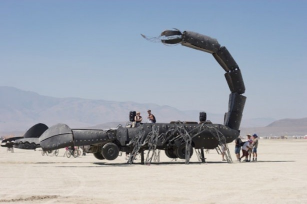 Foto - Dev akrep görenleri hayrete düşürdü!