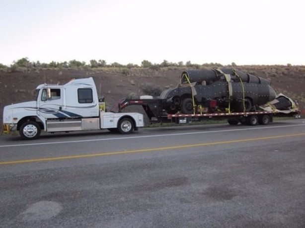Foto - Dev akrep görenleri hayrete düşürdü!