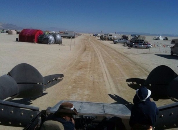 Foto - Dev akrep görenleri hayrete düşürdü!