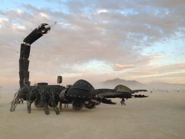 Foto - Dev akrep görenleri hayrete düşürdü!