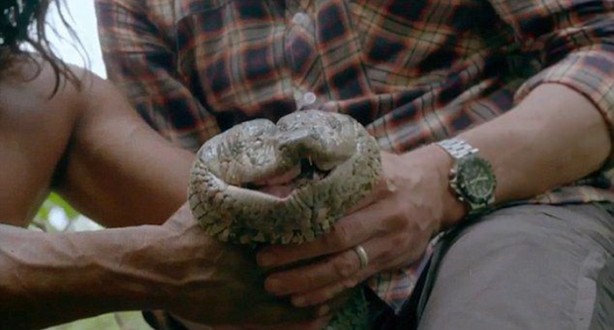 Foto - Dev Anakondayı böyle görüntüledi