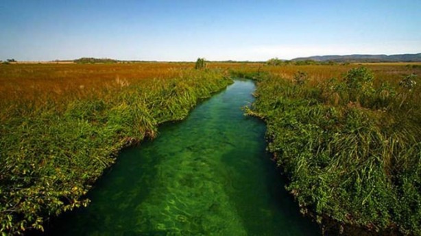 Foto - Dev Anakondayı böyle görüntüledi