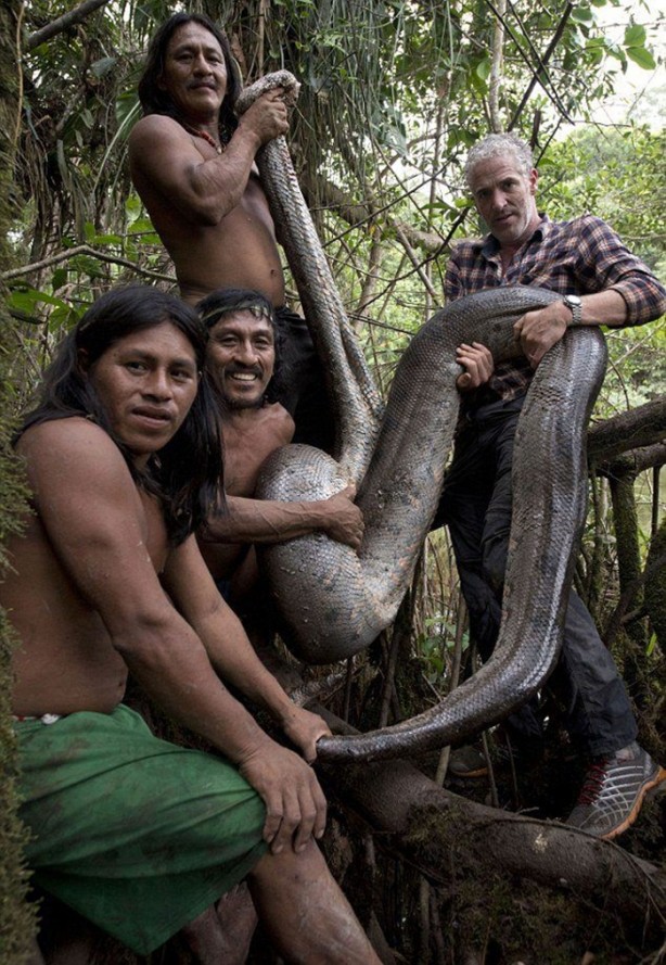 Foto - Dev Anakondayı böyle görüntüledi