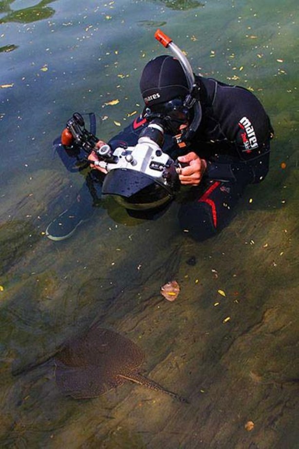 Foto - Dev Anakondayı böyle görüntüledi
