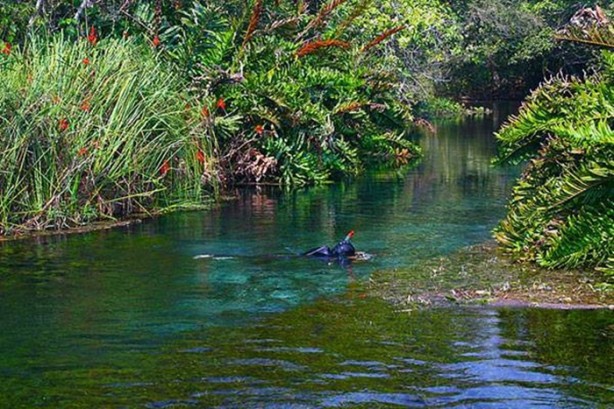 Foto - Dev Anakondayı böyle görüntüledi