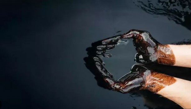 Foto - Dev bankadan 2024 petrol tahmini