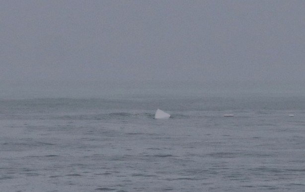 Foto - Dev dalgalar kuleleri domino taşı gibi devirdi