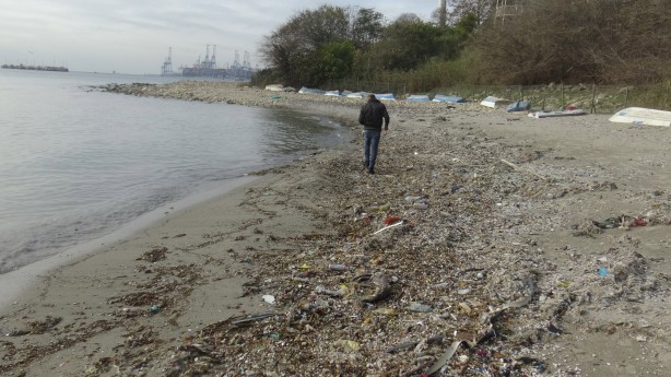 Foto - Dev dalgaların ardından Avcılar sahili çöplüğe dönüştü 