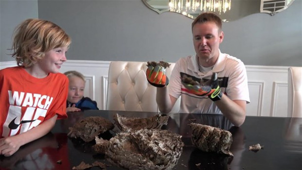 Foto - Dev eşek arısı kovanını ikiye böldüler!