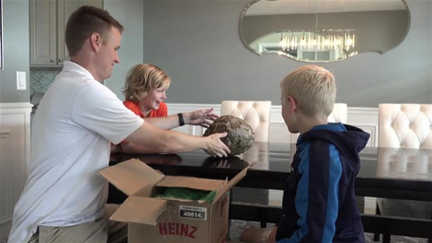 Foto - Dev eşek arısı kovanını ikiye böldüler!